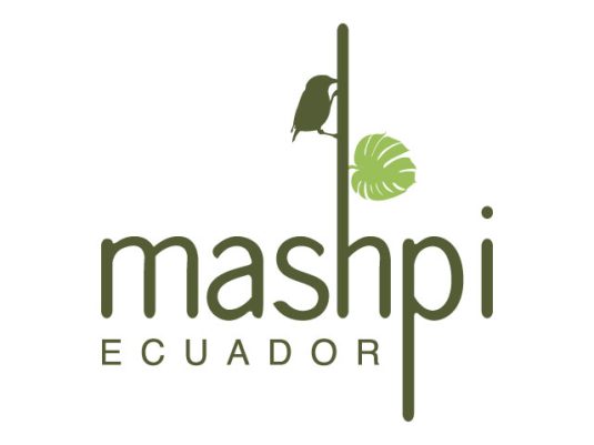 Mashpi